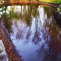 Autumn Reflection Pond