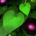 Green Leaf Violet Glow