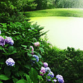 Green Pond