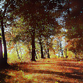Piermont Autumn